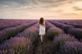 Girl in a lavender field Royalty Free Stock Photo