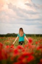 Rear view of beautiful young woman with long hair who standing on field with red poppies. Royalty Free Stock Photo