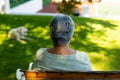 Rear view of biracial senior woman with short hair sitting on bench and dog lying on grass in park Royalty Free Stock Photo