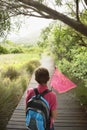 Rear view of Boy with Butterfly Net Royalty Free Stock Photo