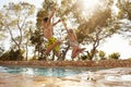 Rear View Of Children On Vacation Jumping Into Outdoor Pool Royalty Free Stock Photo