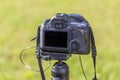 Rear view of a digital camera. The display and rear controls are visible. The camera is mounted on a tripod. The background is Royalty Free Stock Photo