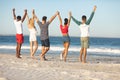 Group of friends standing together hand in hand on the beach Royalty Free Stock Photo