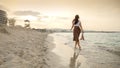 Rear view of elegant bruentte woman with long hair running on sandy sea beach towards the sunset