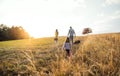 A rear view of family with child and a dog on a walk in autumn nature at sunset. Royalty Free Stock Photo