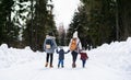 Rear view of family with two small children in winter nature, walking in the snow. Royalty Free Stock Photo