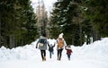 Rear view of family with two small children in winter nature, walking in the snow. Royalty Free Stock Photo