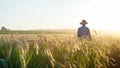 Rear view of a farmer standing in the middle of a wheat field Royalty Free Stock Photo