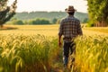 Rear view of farmer walking in a green wheat field. Generative AI Royalty Free Stock Photo