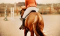 A rear view of a fast sorrel horse with a long tail and a rider in the saddle, galloping around the arena at equestrian