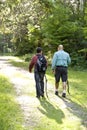 Rear view father and son hiking in woods on trail Royalty Free Stock Photo