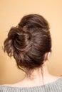 Rear view of female hairstyle middle bun with brown hair. Royalty Free Stock Photo