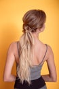 Rear view of female hairstyle middle bun with brown hair Royalty Free Stock Photo