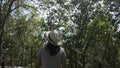 Rear view of female nature conservationist walking through tropical forest and watching beauty of evergreen trees in the rural.