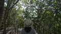 Rear view of female nature conservationist walking through tropical forest and watching beauty of evergreen trees in the rural.