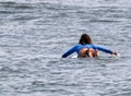 Rear view of a female surfer lying down on her surfboard swimming out to catch waves to surf