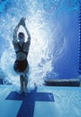 Rear view of female swimmer in competition Royalty Free Stock Photo