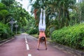 Rear view of fitness woman doing handstand exercise standing straight on outstretched arms park lane in summer