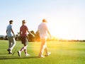 Rear view of friends golfing on sunny day Royalty Free Stock Photo
