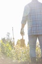 Rear view of gardener holding shovel at plant nursery Royalty Free Stock Photo