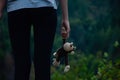 Rear view of girl, close up of hands of a female child holding a monkey toy. Girl standing holding a brown furry monkey toy. Royalty Free Stock Photo