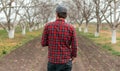 Rear view of handsome confident farmer in walnut fruit orchard