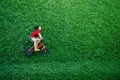 Rear View of a Happy Asian Kids. Girl on Bicycle Lay Down at Green lawn in Summer Day Royalty Free Stock Photo