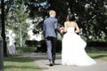 Rear view.happy couple walking in the alley of the Park. Royalty Free Stock Photo