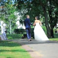 Rear view.the bride and groom walking in the alley of the Park. Royalty Free Stock Photo