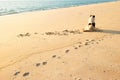 Rear view of happy dog enjoying on the sunset beach with couple tourists Royalty Free Stock Photo