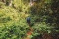 Rear view of hikers in the forest at Aberdare National Park, Kenya