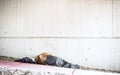 A rear view of homeless beggar man lying on the ground outdoors in city, sleeping. Royalty Free Stock Photo