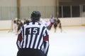 Rear view of the ice hockey referee Royalty Free Stock Photo