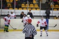 Rear view of ice hockey referee Royalty Free Stock Photo