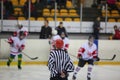 Rear view of ice hockey referee Royalty Free Stock Photo