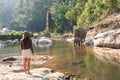 A female traveler looking at the mother and baby elephants by the river in the forest Royalty Free Stock Photo