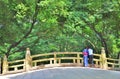 Rear view of Japanese couple standing on the bridge