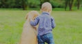 Little boy child and Golden Retriever dog together on a grass in a park Royalty Free Stock Photo