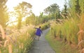 Rear view little child girl using hand to touching wild grass at sunrise