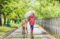 Little girl walking dog under rain Royalty Free Stock Photo