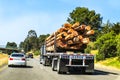 Rear view of logging semi truck loaded with large logs traveling on highway with other vehicles Royalty Free Stock Photo