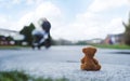 Rear view Lonely Teddy bear doll sitting alone on hailstones with blurry father pushing stroller walking on footpath.lost brown