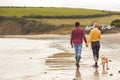 Rear View Of Loving Couple With Pet Dog Holding Hands Walking Along Beach Shoreline Royalty Free Stock Photo