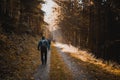 Rear view of male hikers with backpacks on a forest trail with sun rays through the trees