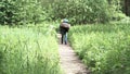 Rear view of a man with heavy backpack walking on boardwalk through green grass field. Stock footage. Male hiker walking