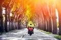 Rear view of man riding motorcycle through tunnel of trees lane Royalty Free Stock Photo