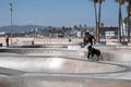 Rear view of man with skateboard and dog running on ramp at skatepark Royalty Free Stock Photo
