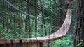 Rear view of a man standing on a hanging wooden bridge in the green summer forest. Stock footage. Man hiker walking in Royalty Free Stock Photo