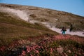 Rear view man standing on the hill field with hiking backpack and sticks in the foreground of pink flowers Royalty Free Stock Photo