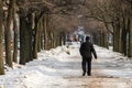 rear view of a man walking along a winter alley Royalty Free Stock Photo